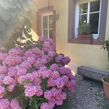 Ferienwohnung Suedliche Weinstrasse Zwischen Wald Und Reben Klingenmünster Kültér fotó