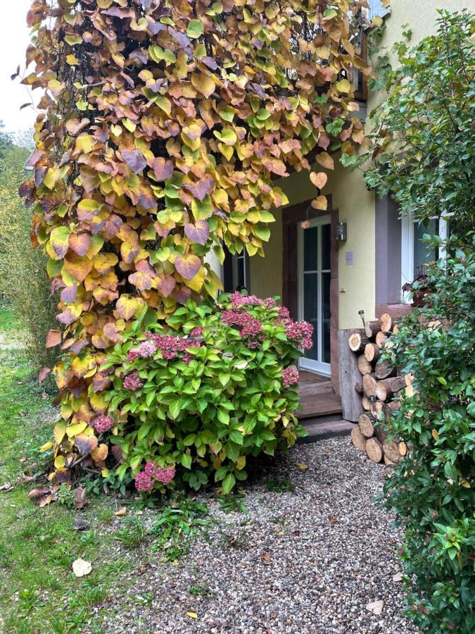 Ferienwohnung Suedliche Weinstrasse Zwischen Wald Und Reben Klingenmünster Kültér fotó