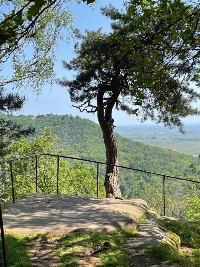 Ferienwohnung Suedliche Weinstrasse Zwischen Wald Und Reben Klingenmünster Kültér fotó