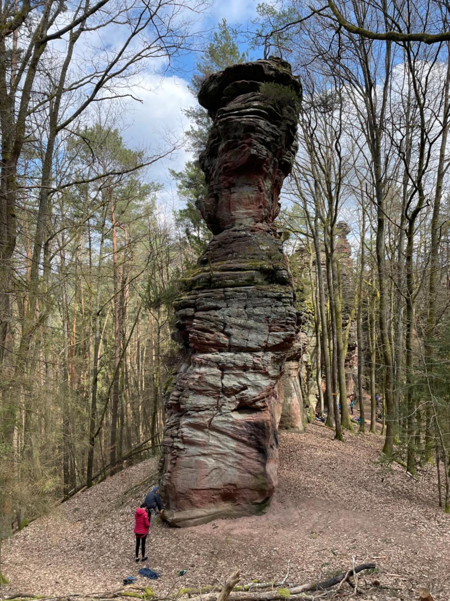 Ferienwohnung Suedliche Weinstrasse Zwischen Wald Und Reben Klingenmünster Kültér fotó